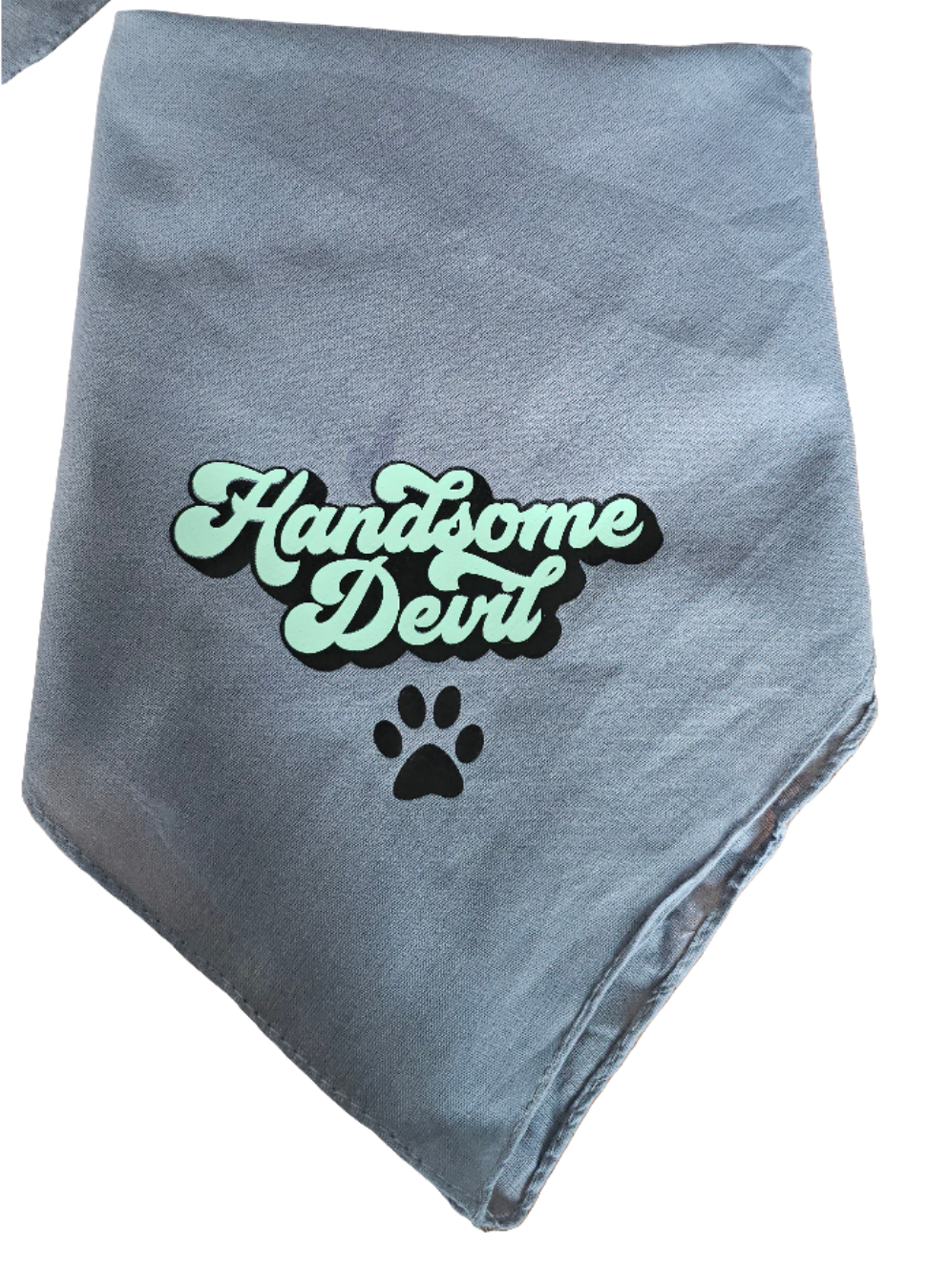 Bandana handsome devil