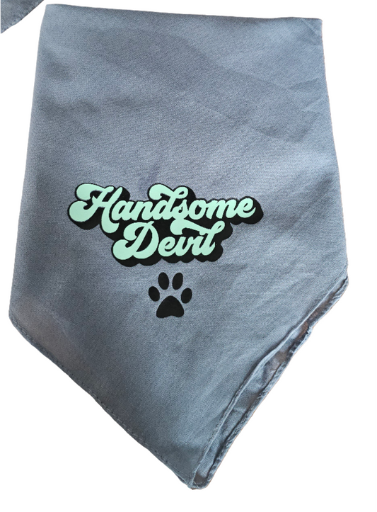 Bandana handsome devil